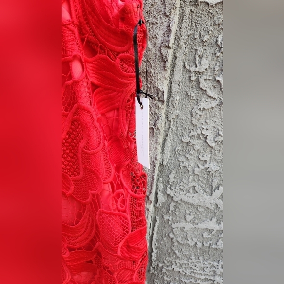 Lovers + Friends Caspian Shift Dress - Picture 4 of 5